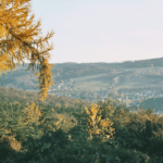 Blick über die Höhen